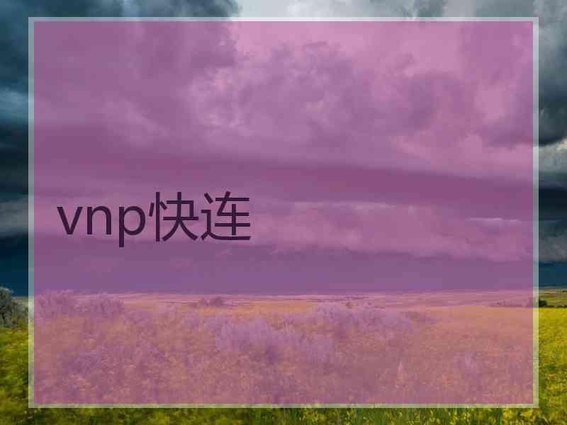 vnp快连