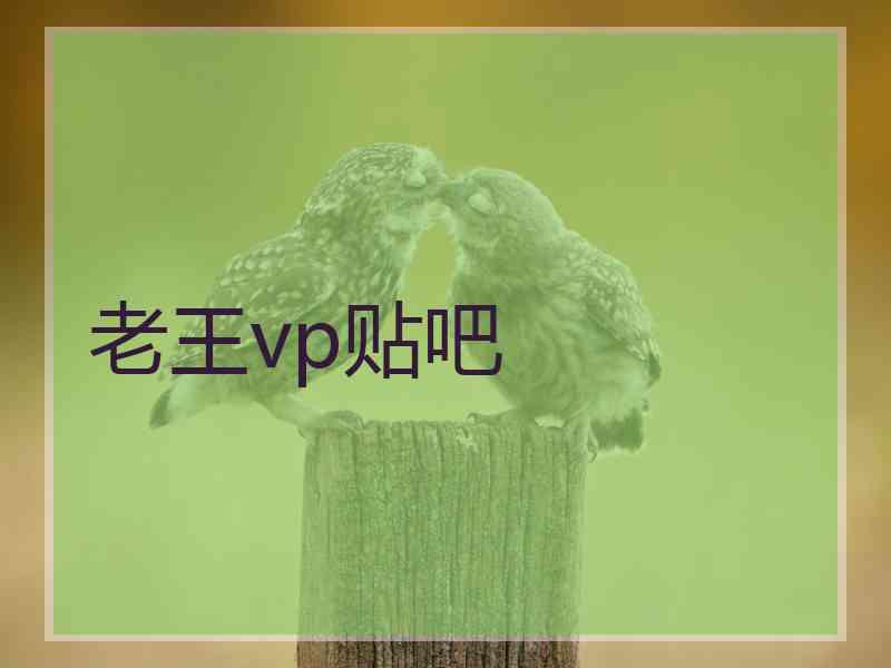 老王vp贴吧