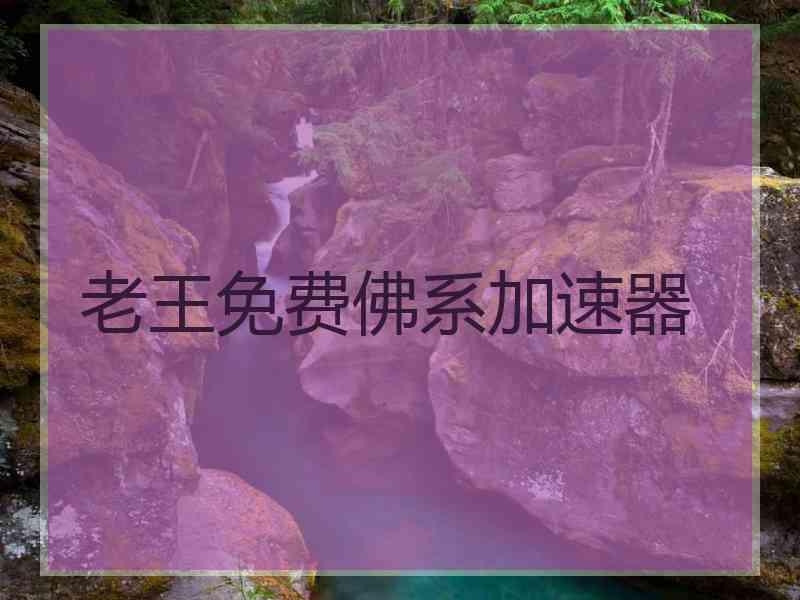 老王免费佛系加速器