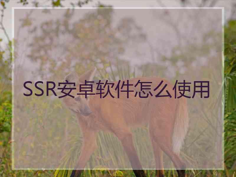 SSR安卓软件怎么使用