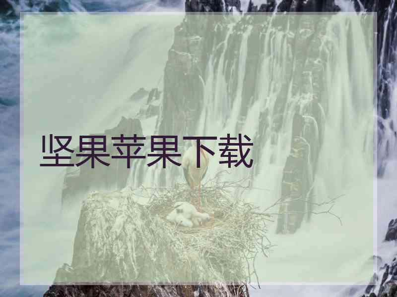 坚果苹果下载
