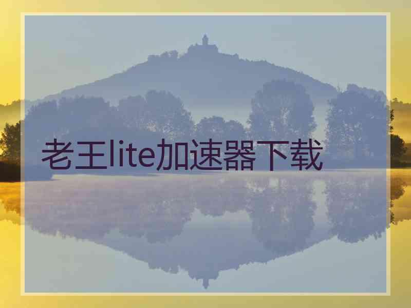 老王lite加速器下载