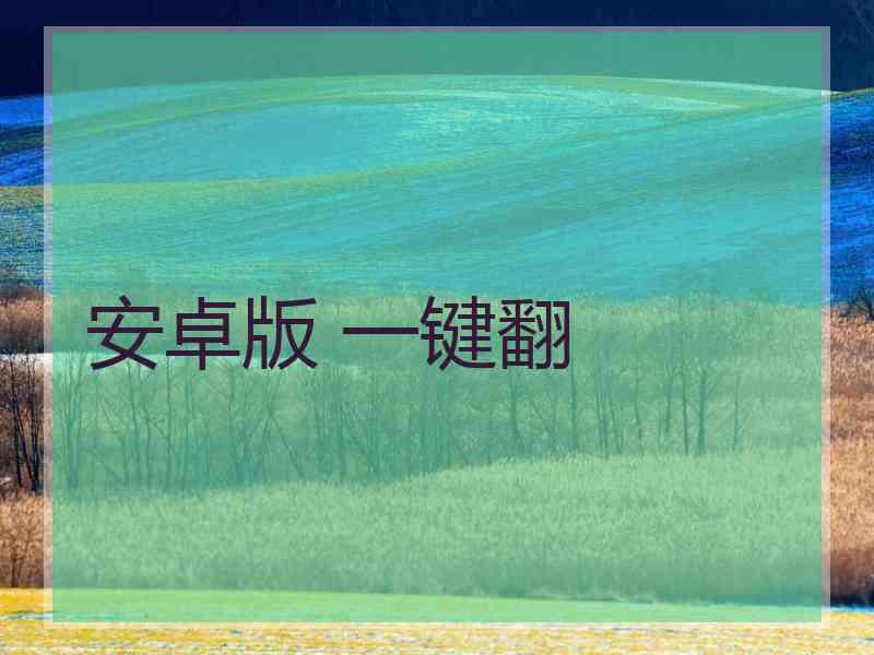 安卓版 一键翻