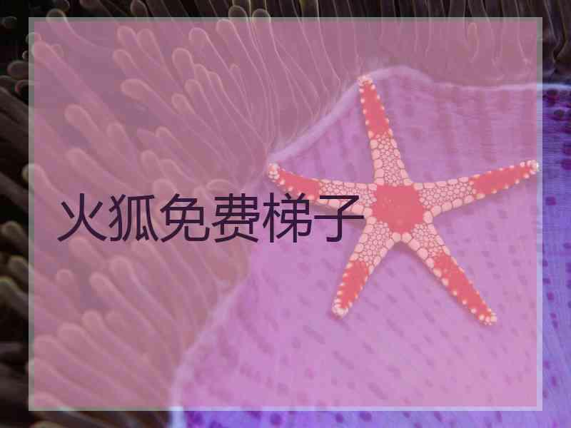 火狐免费梯子