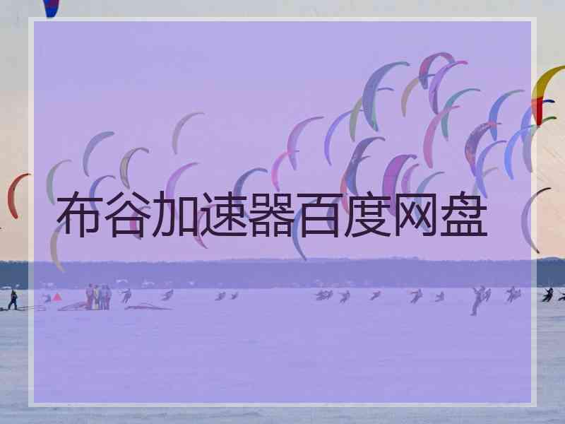 布谷加速器百度网盘