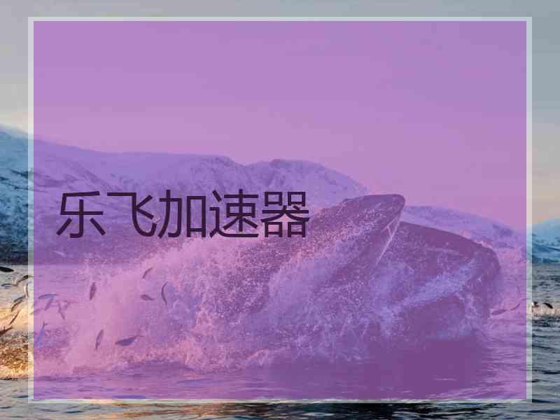 乐飞加速器