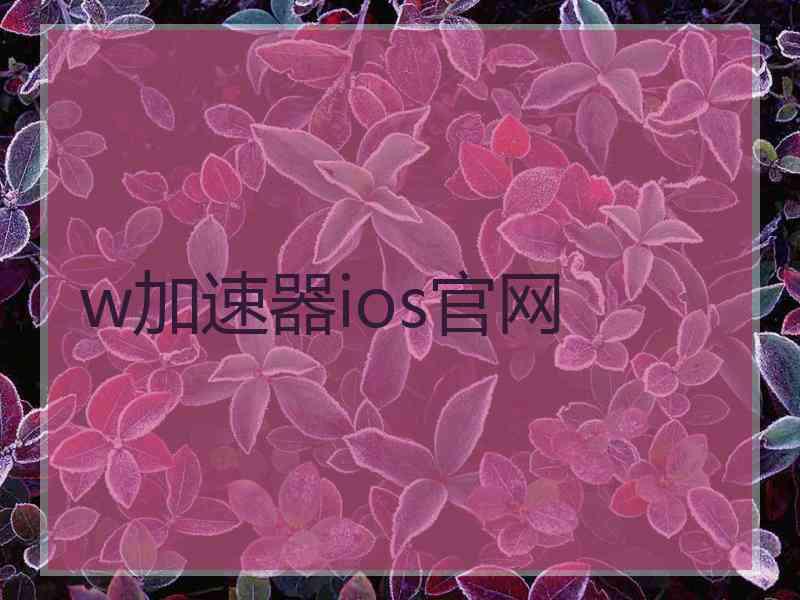 w加速器ios官网