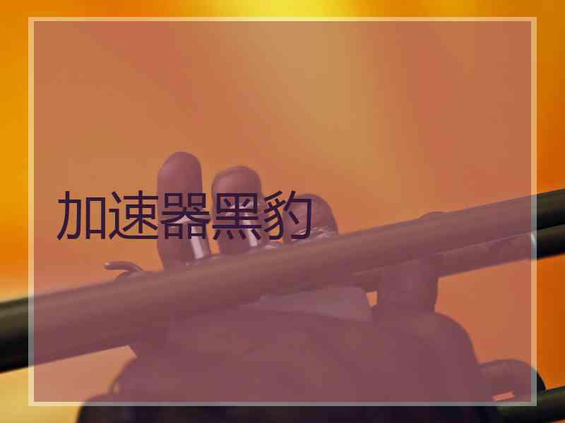 加速器黑豹