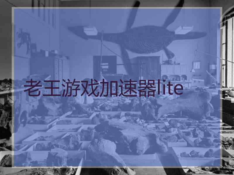 老王游戏加速器lite