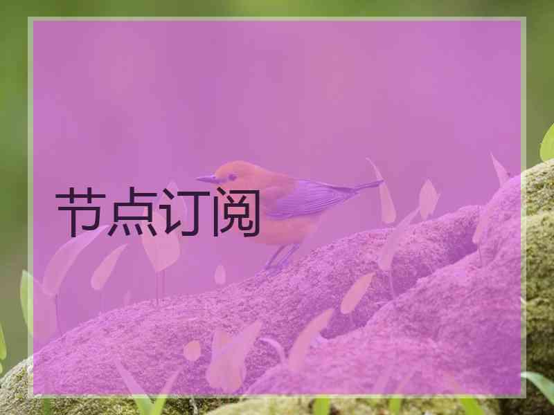 节点订阅