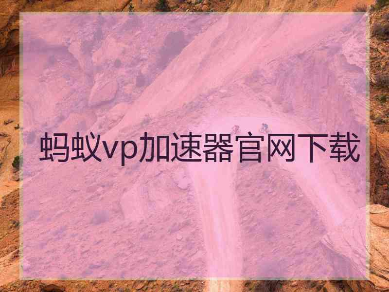 蚂蚁vp加速器官网下载
