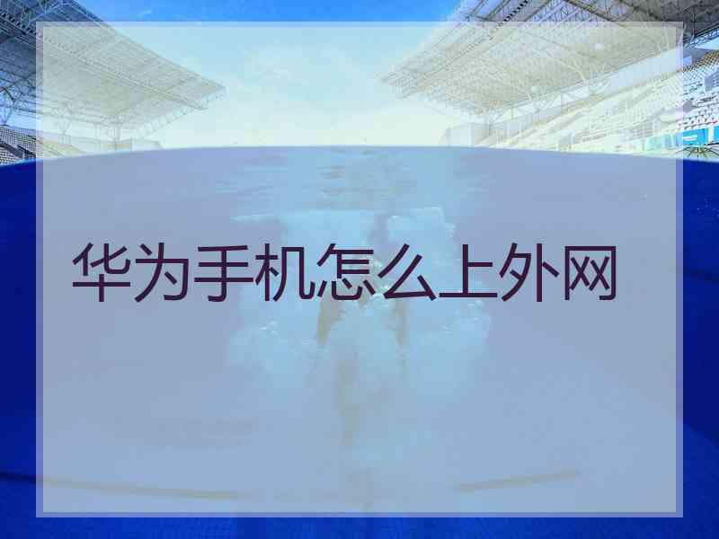 华为手机怎么上外网