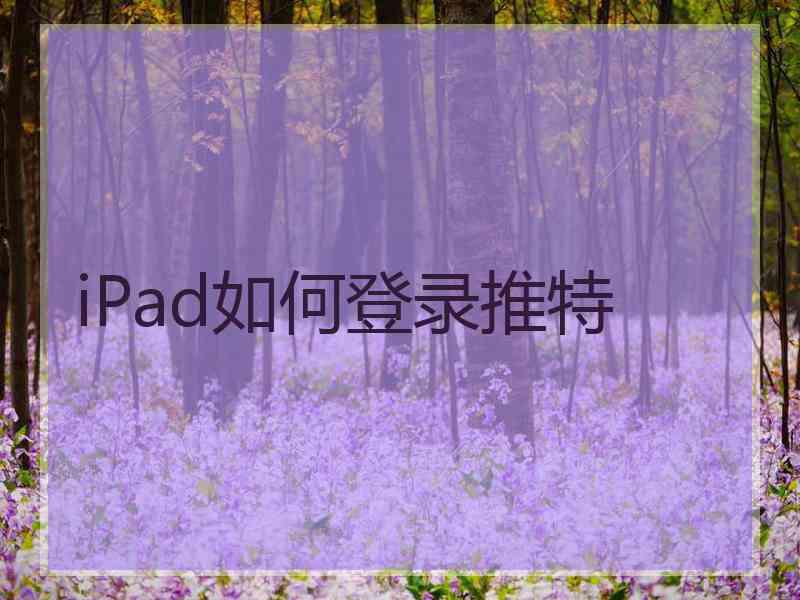 iPad如何登录推特