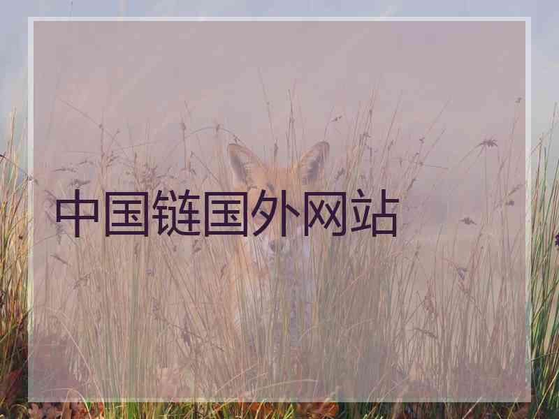 中国链国外网站