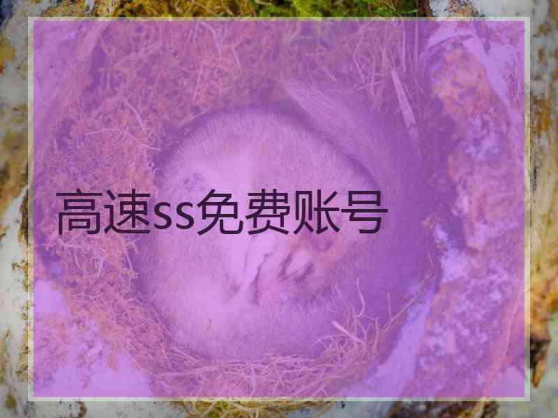 高速ss免费账号