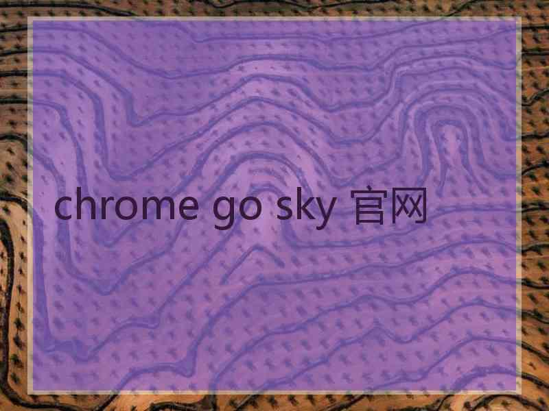 chrome go sky 官网