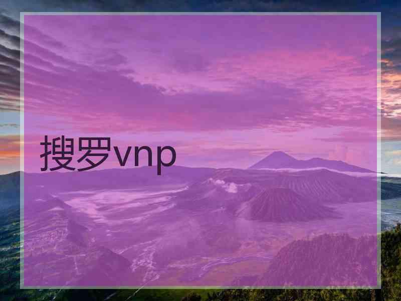 搜罗vnp