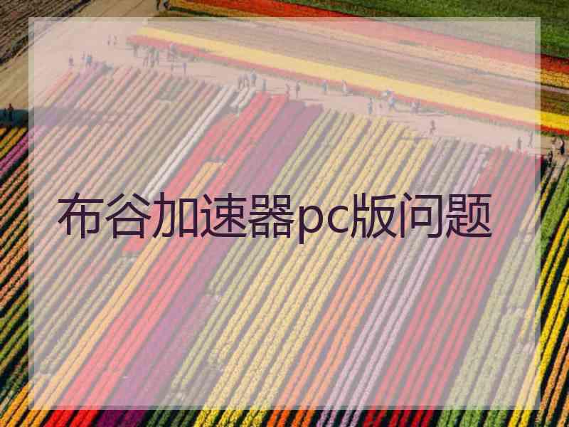布谷加速器pc版问题