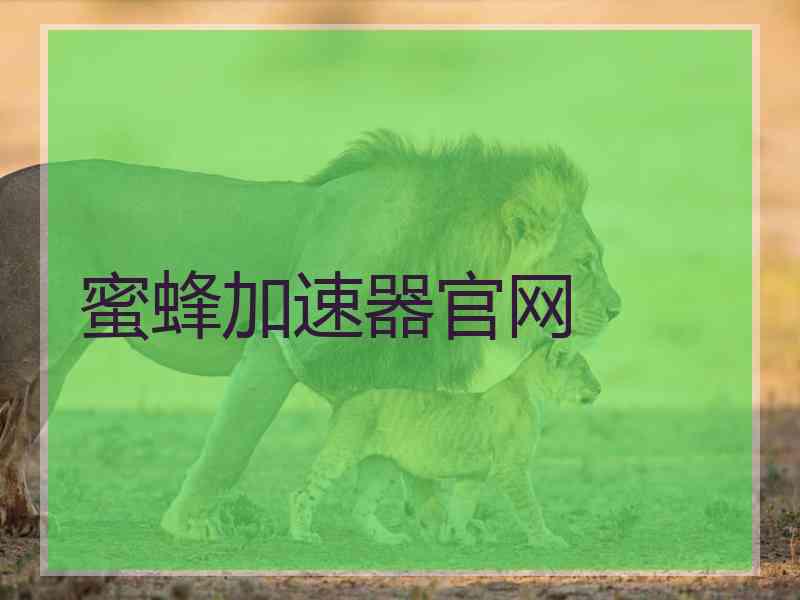 蜜蜂加速器官网