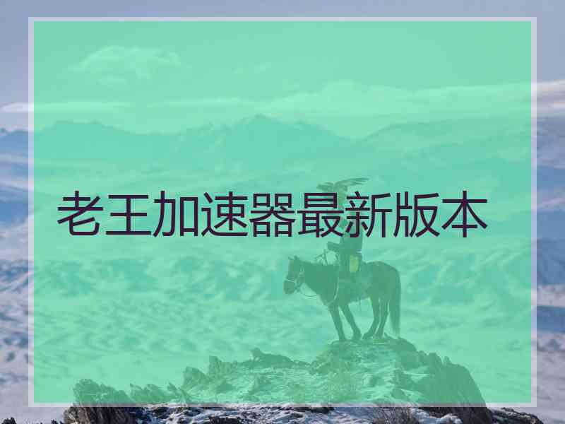 老王加速器最新版本