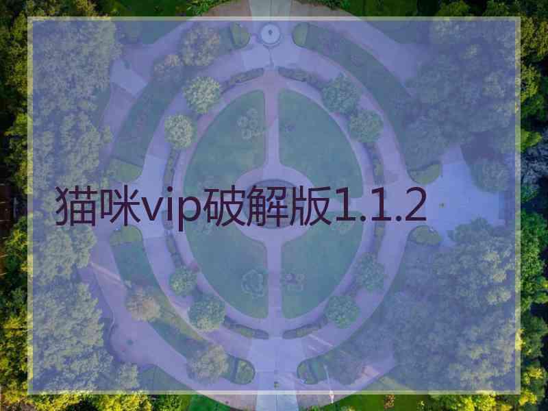 猫咪vip破解版1.1.2