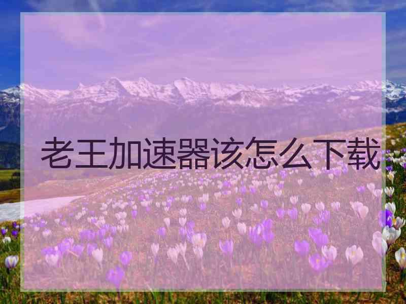 老王加速器该怎么下载