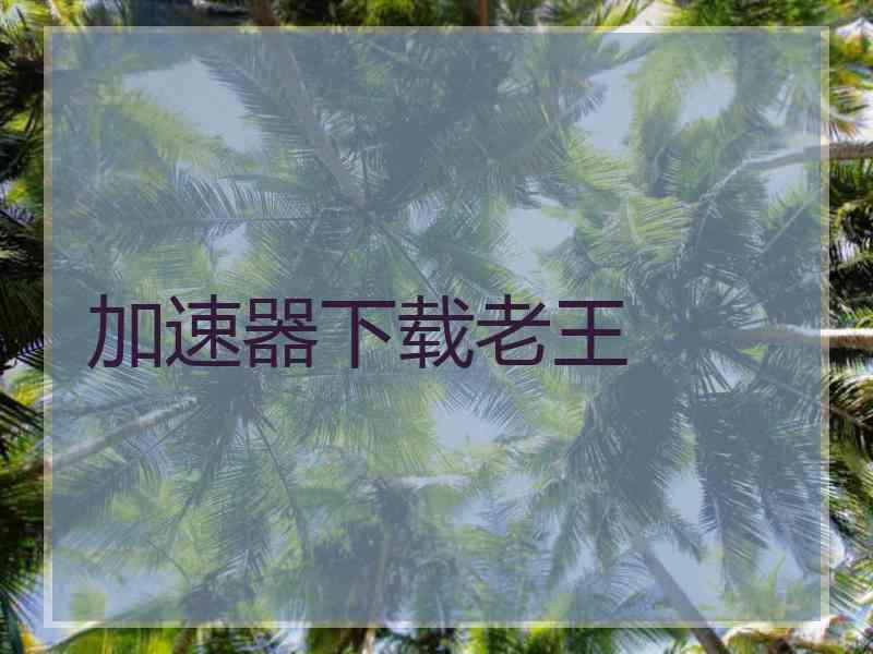 加速器下载老王