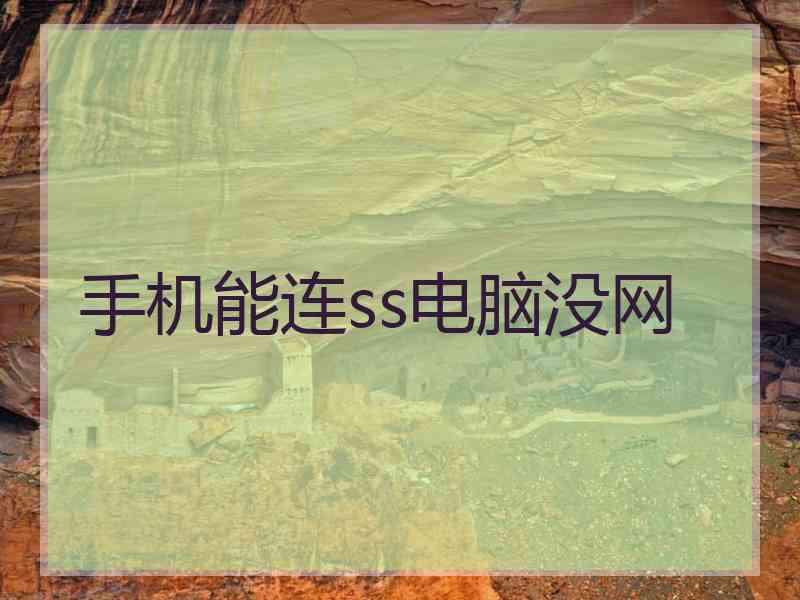 手机能连ss电脑没网