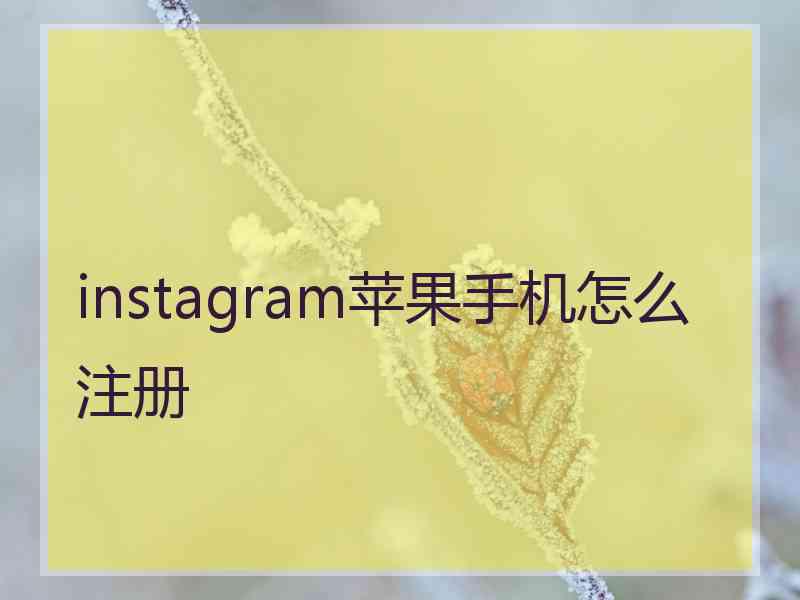 instagram苹果手机怎么注册