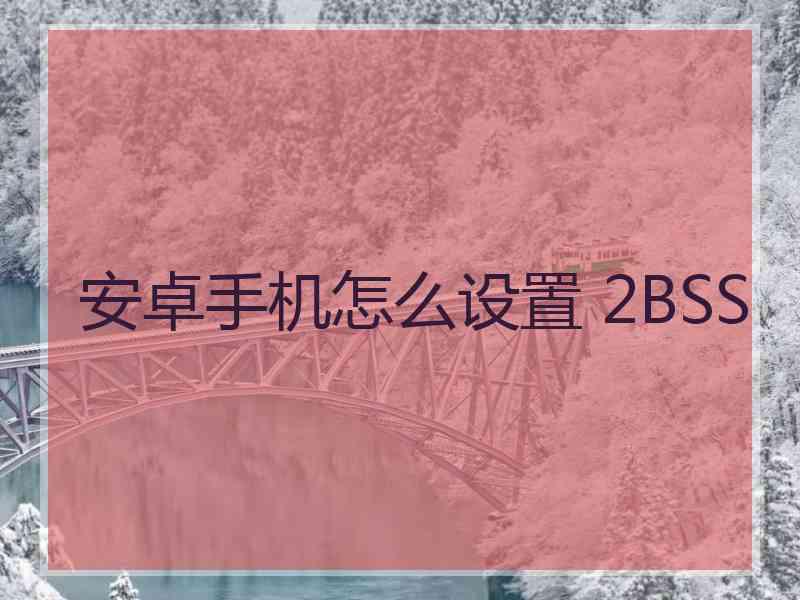 安卓手机怎么设置 2BSS