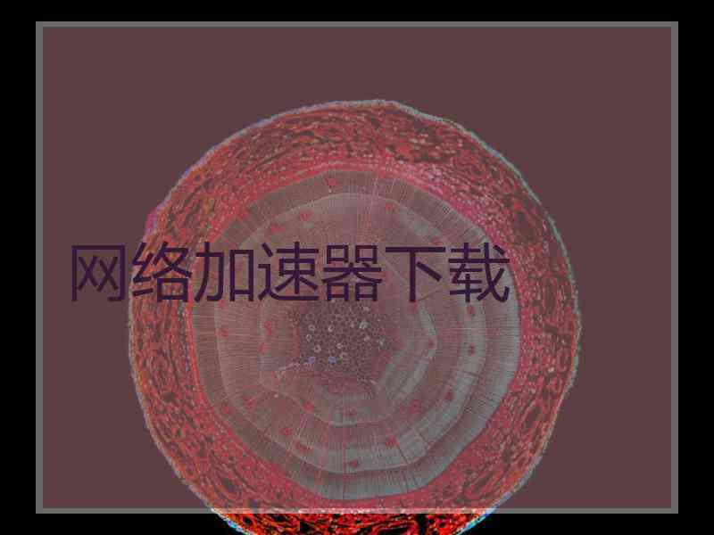 网络加速器下载