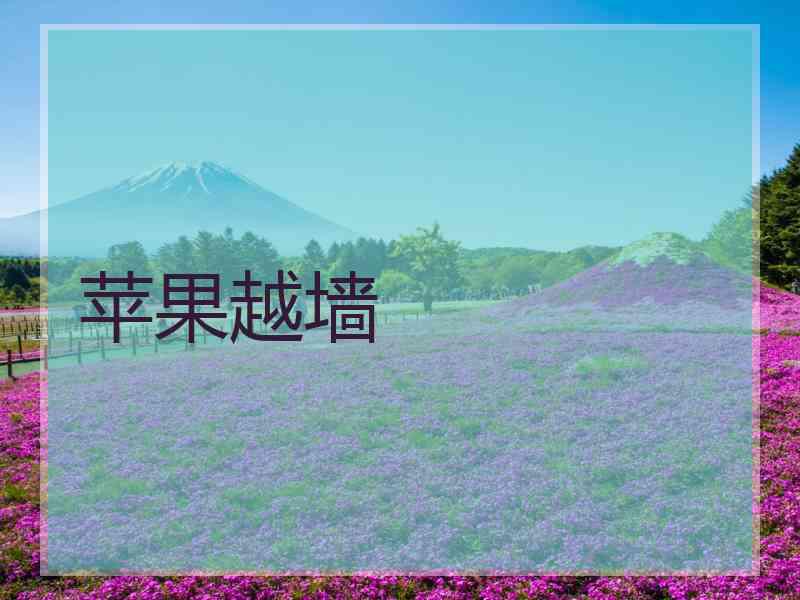 苹果越墙