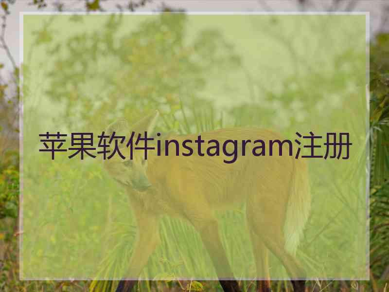 苹果软件instagram注册