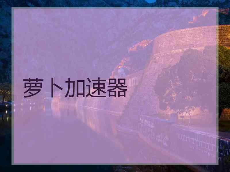 萝卜加速器