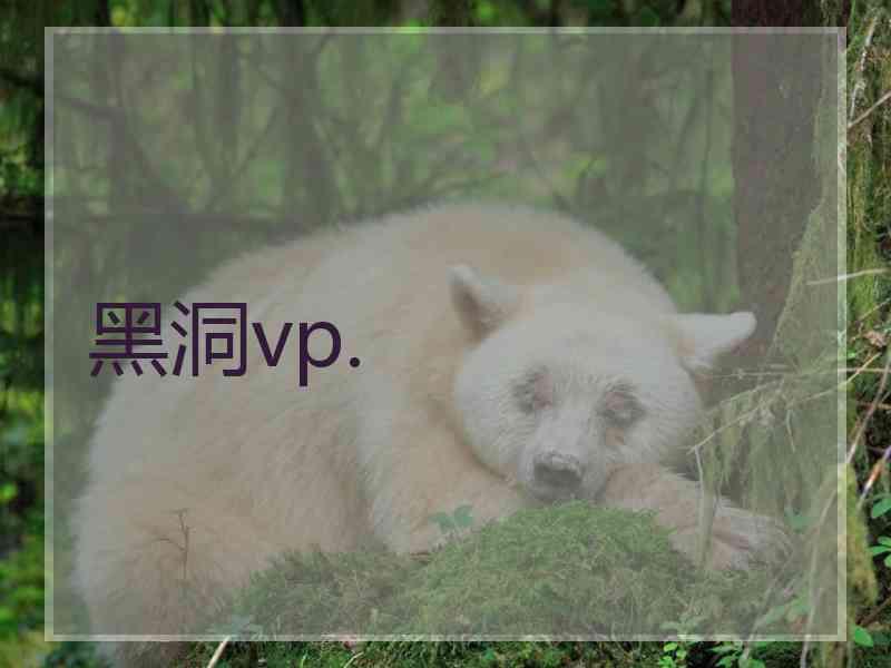黑洞vp.