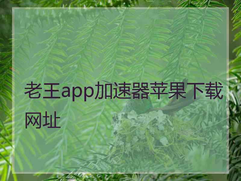 老王app加速器苹果下载网址