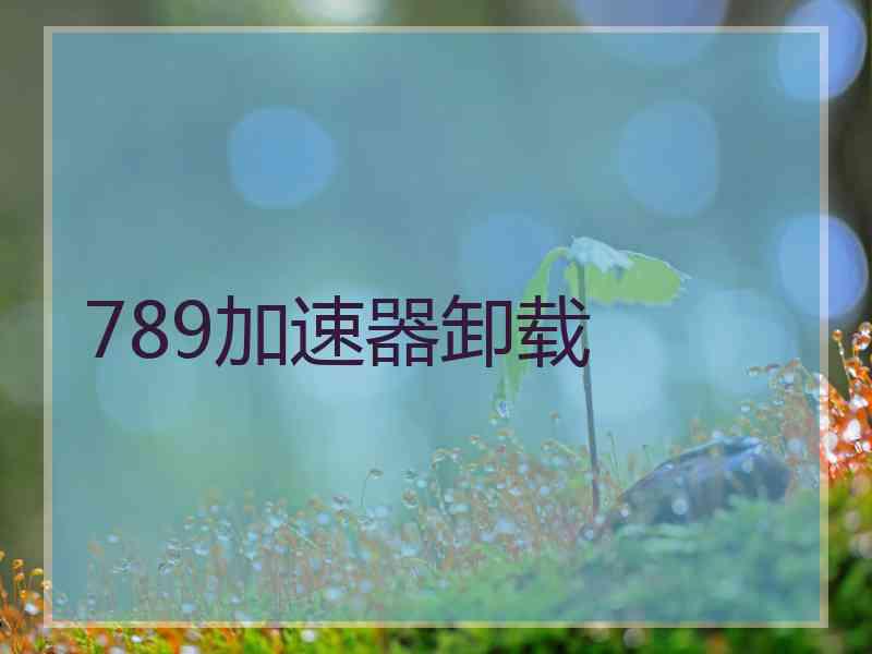 789加速器卸载