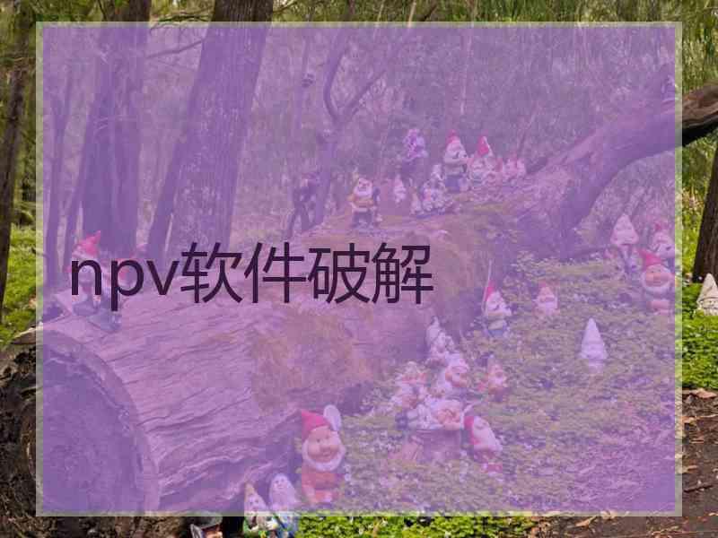 npv软件破解