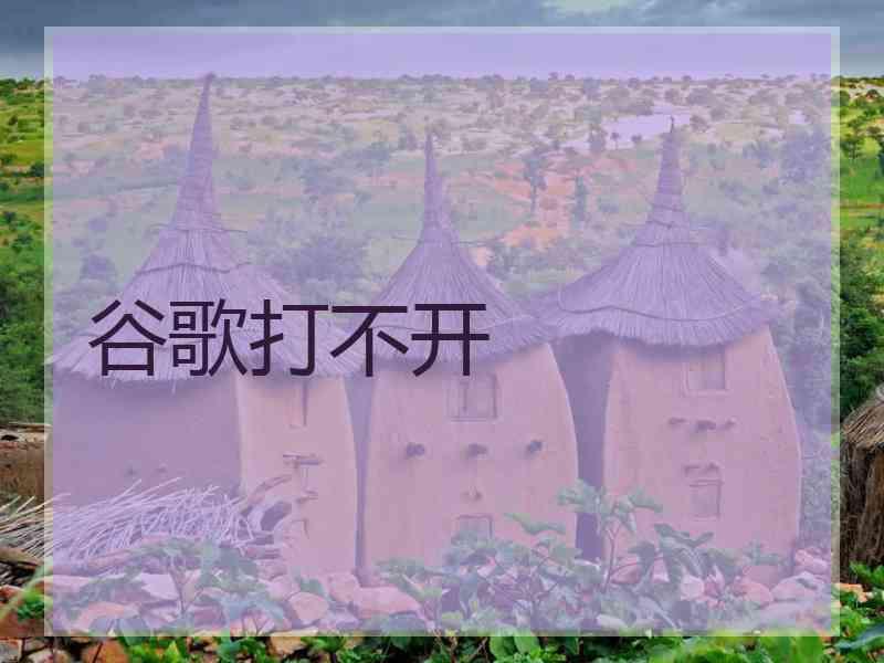 谷歌打不开