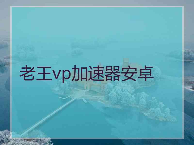 老王vp加速器安卓