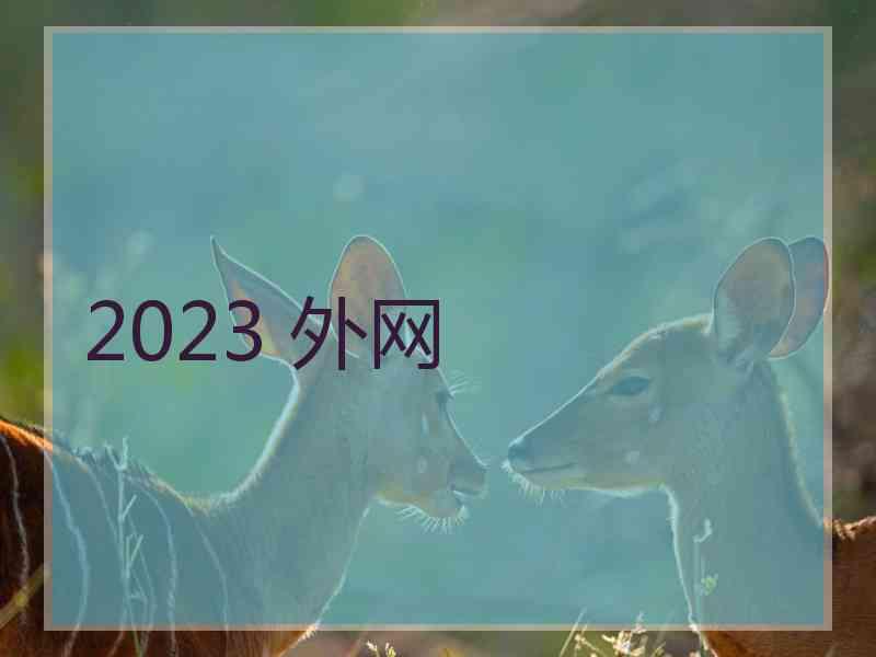 2023 外网