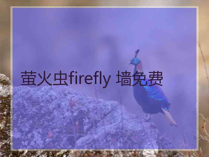 萤火虫firefly 墙免费