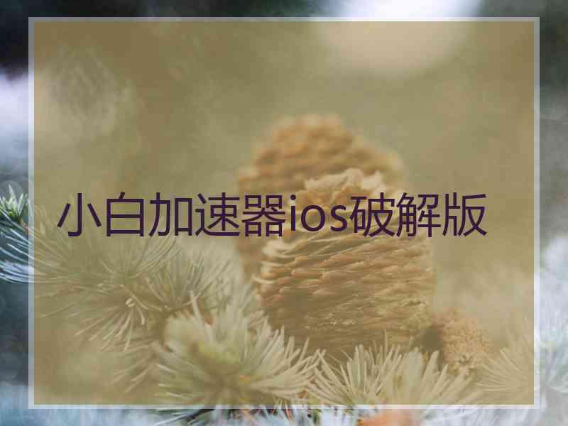 小白加速器ios破解版