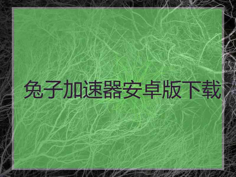 兔子加速器安卓版下载