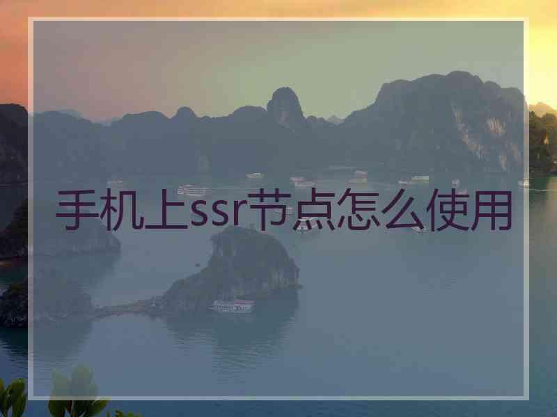 手机上ssr节点怎么使用