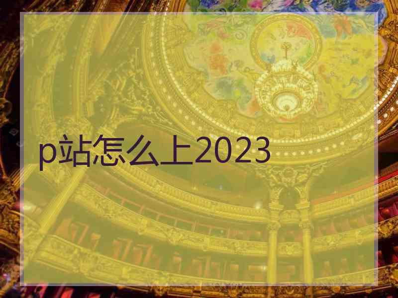 p站怎么上2023