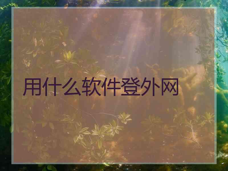 用什么软件登外网