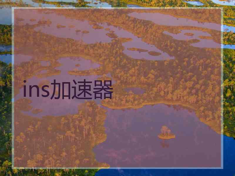 ins加速器