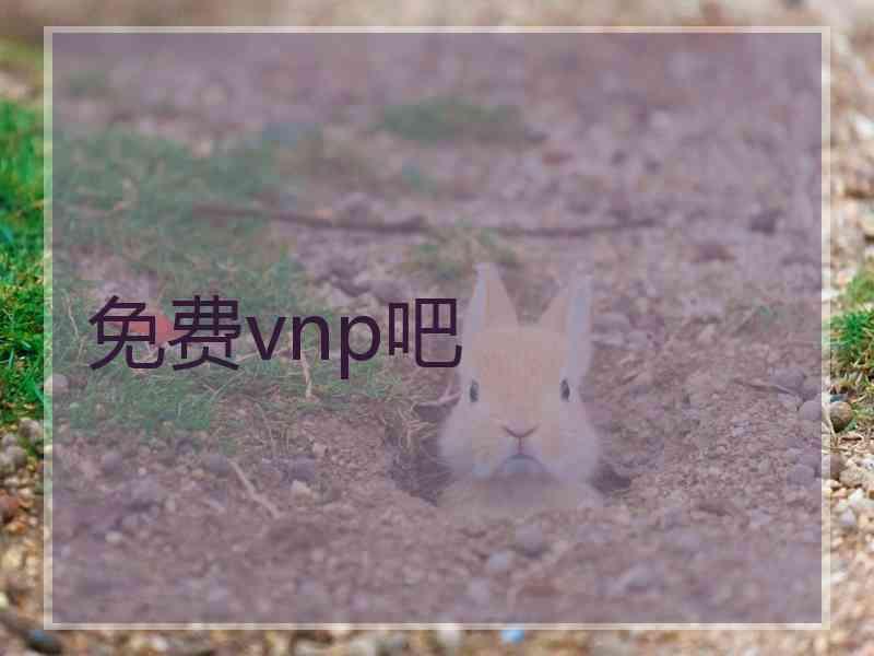 免费vnp吧