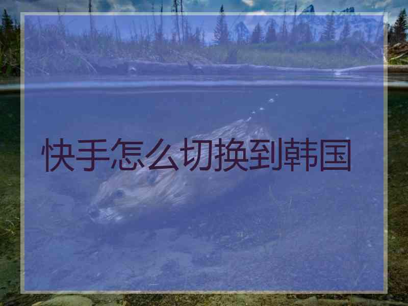 快手怎么切换到韩国